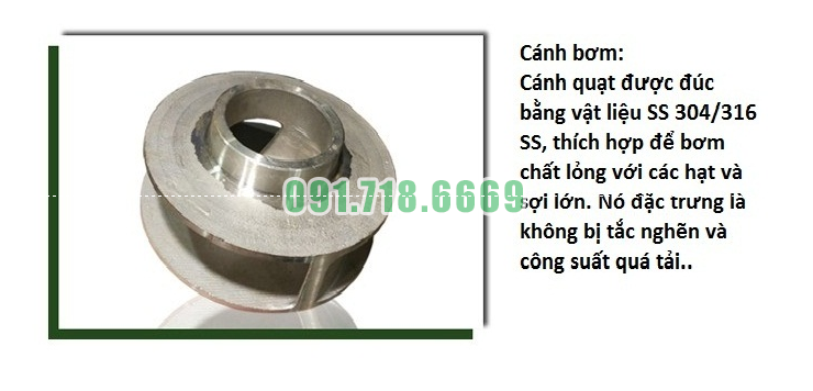 bom-chim-wq-4