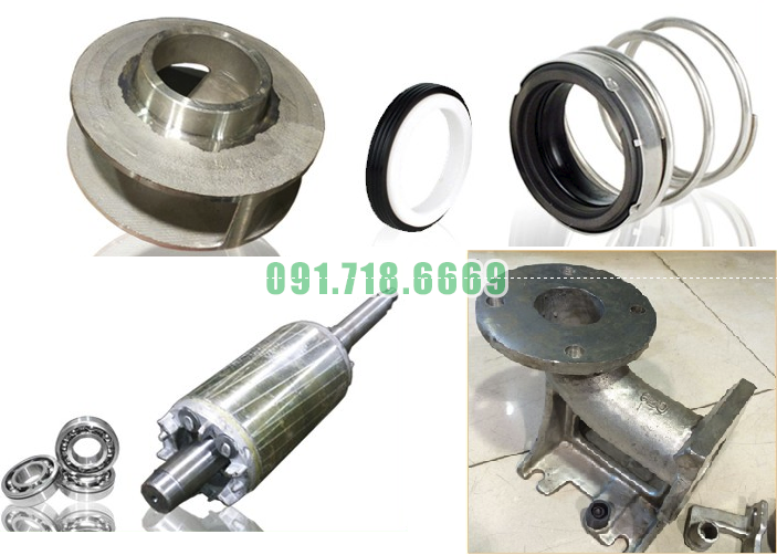 bom-chim-22