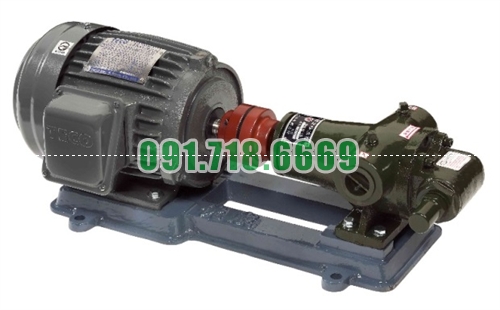 Bán Bơm bánh răng G195