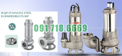 BÁN BƠM CHÌM INOX 316 HIỆU FEILI ĐÀI LOAN