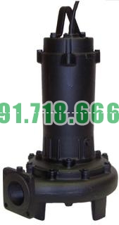 Bán Bơm chìm nước thải Ebara DF