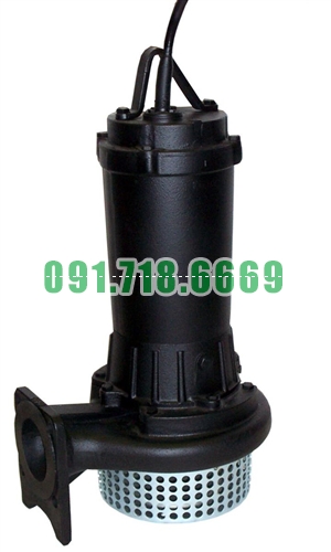 Bán Bơm chìm nước thải Ebara DS