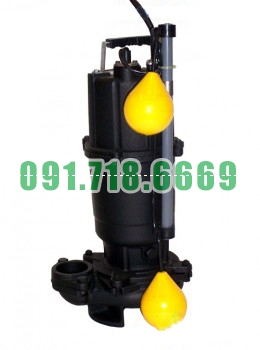 Bán Bơm chìm nước thải Ebara DVSA