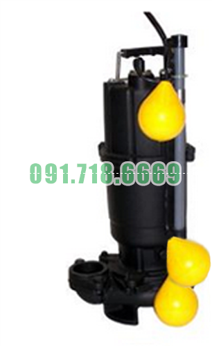 Bán Bơm chìm nước thải Ebara DVSJ