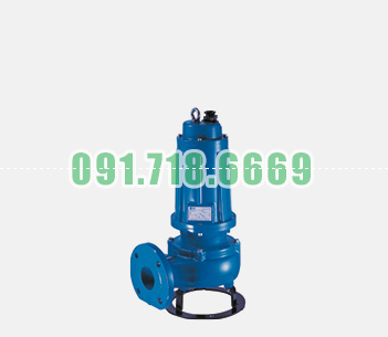 Bán Bơm chìm nước thải Pentax DM
