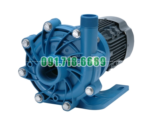 Bán Bơm hóa chất FTI DB11P