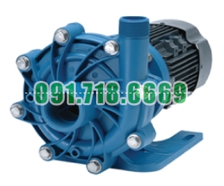 Bán Bơm hóa chất FTI DB15P