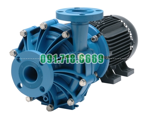 Bán Bơm hóa chất FTI DB22P