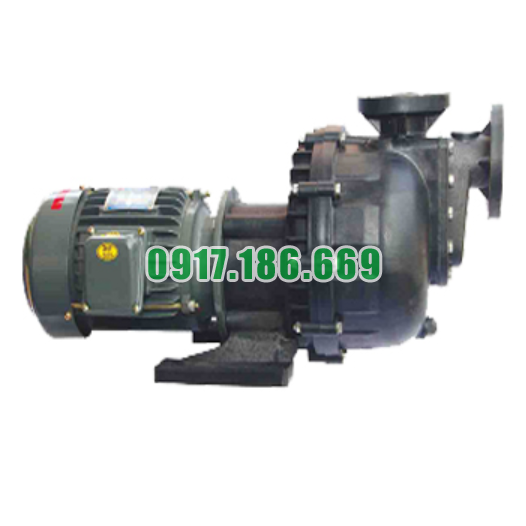 Bán Bơm hóa chất NTP USP240-1.75 20