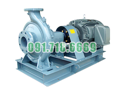 Bán Bơm nước Ebara 100X80FSHA