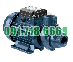 Bán Bơm nước Ebara PRA 100M