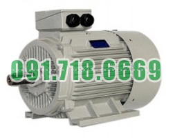 Bán Động cơ điện Dager