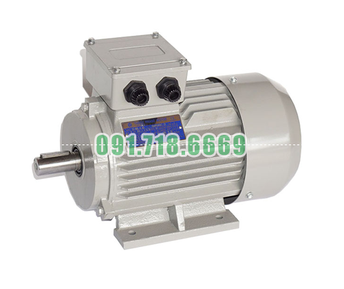 Bán Động cơ điện Pamar