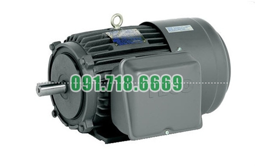 Bán Động cơ điện Teco