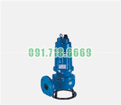 Bán Bơm chìm nước thải Pentax DM