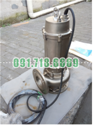Bán Bơm chìm WQ 50WQP- 20-50-7.5