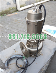 Bán Bơm chìm WQ 50WQP15-20-2.2