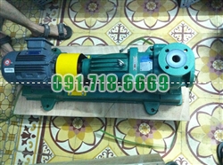 Bán Bơm hóa chất đầu nhựa lót teflon IHF32-25-125