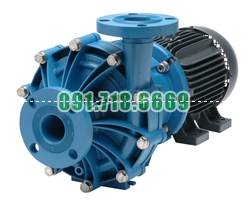 Bán Bơm hóa chất FTI DB22P