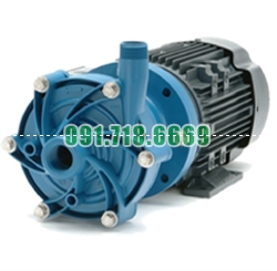 Bán Bơm hóa chất FTI DB6P