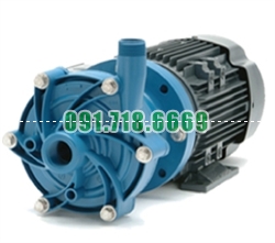Bán Bơm hóa chất FTI DB8P