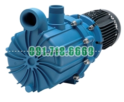Bán Bơm hóa chất FTI SP22P