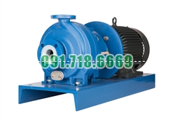 Bán Bơm hóa chất FTI UC1516