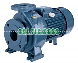 Bán Bơm nước Ebara MD 40-250/11
