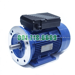 Bán Động cơ 1,5kW mặt bích điện 1 pha