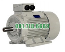 Bán Động cơ điện Dager