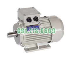 Bán Động cơ điện Pamar