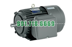 Bán Động cơ điện Teco