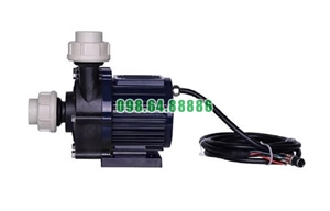 Phân phối bơm dẫn động từ TDM-200PERU-DC48 lưu lượng 76 L/m đẩy  cao 10.5 m